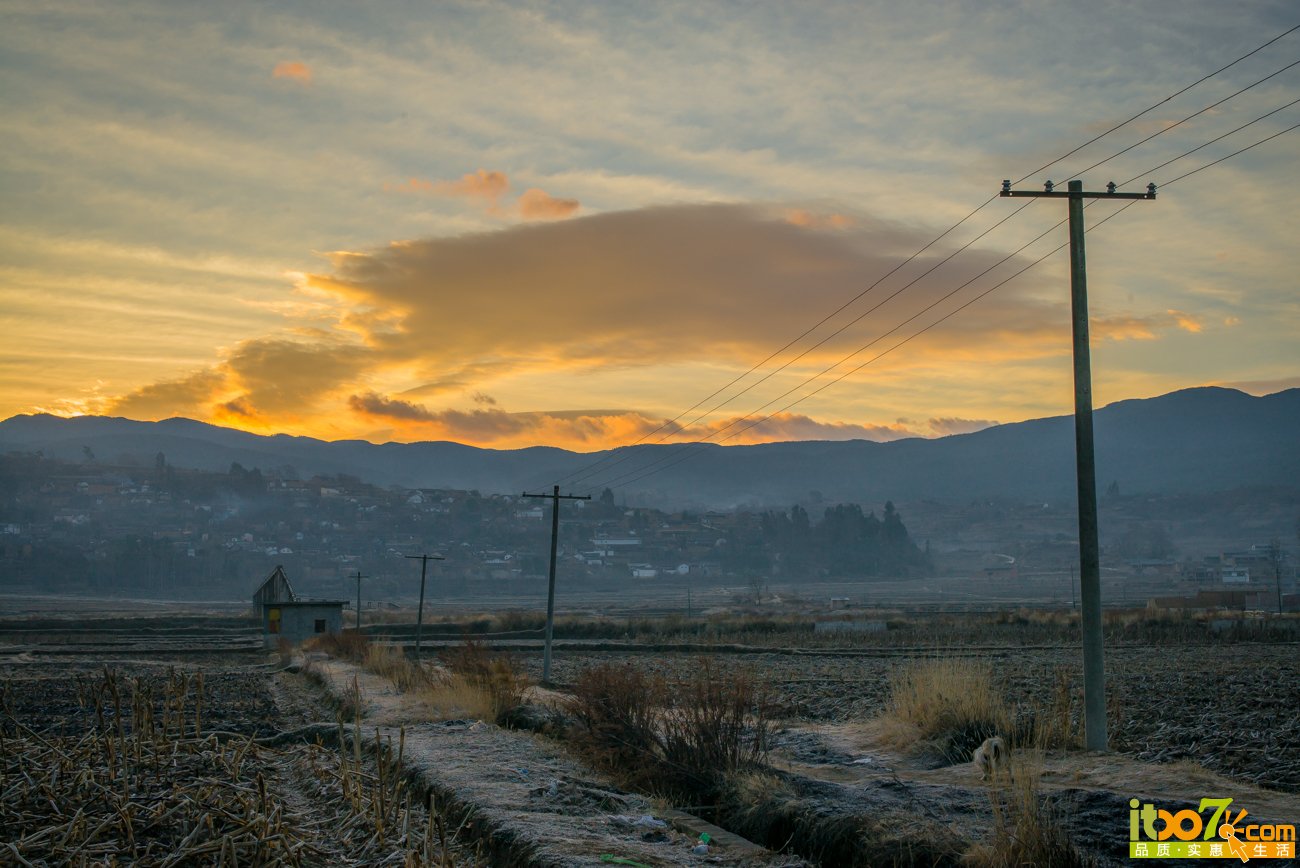 L1004022.jpg