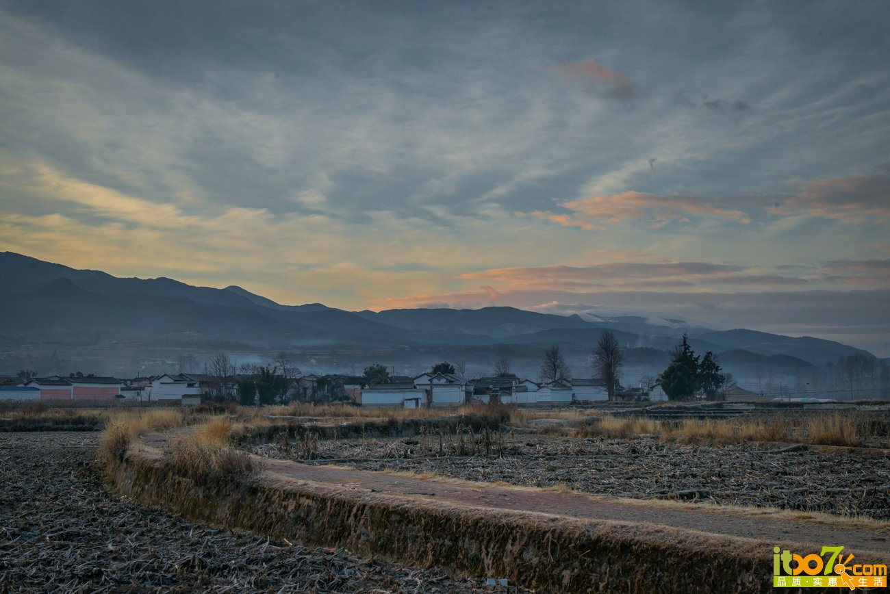 L1004030.jpg