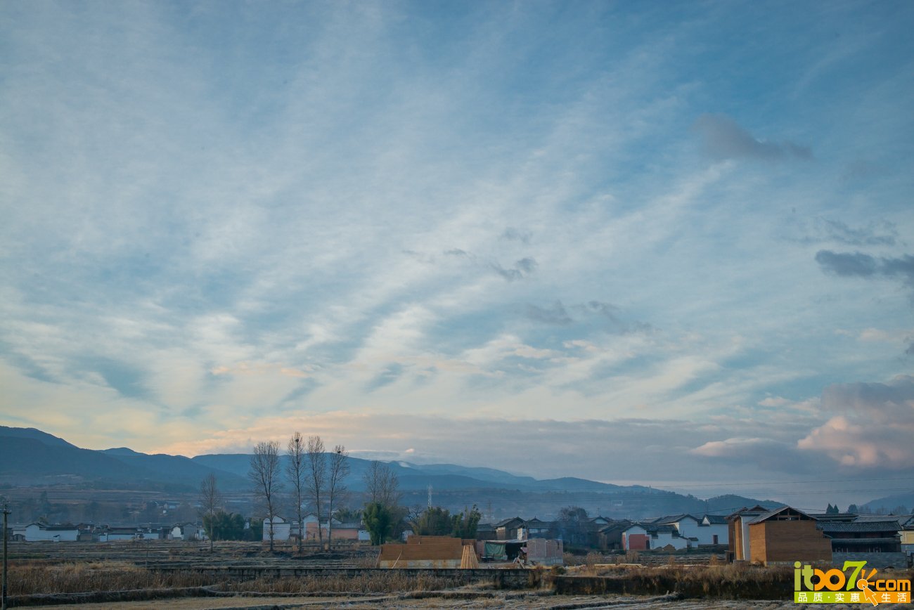 L1004048.jpg