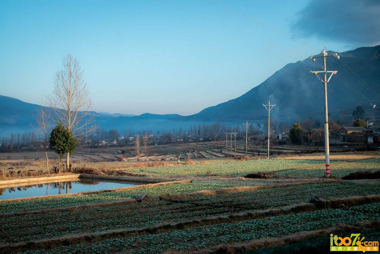 L1004079.jpg