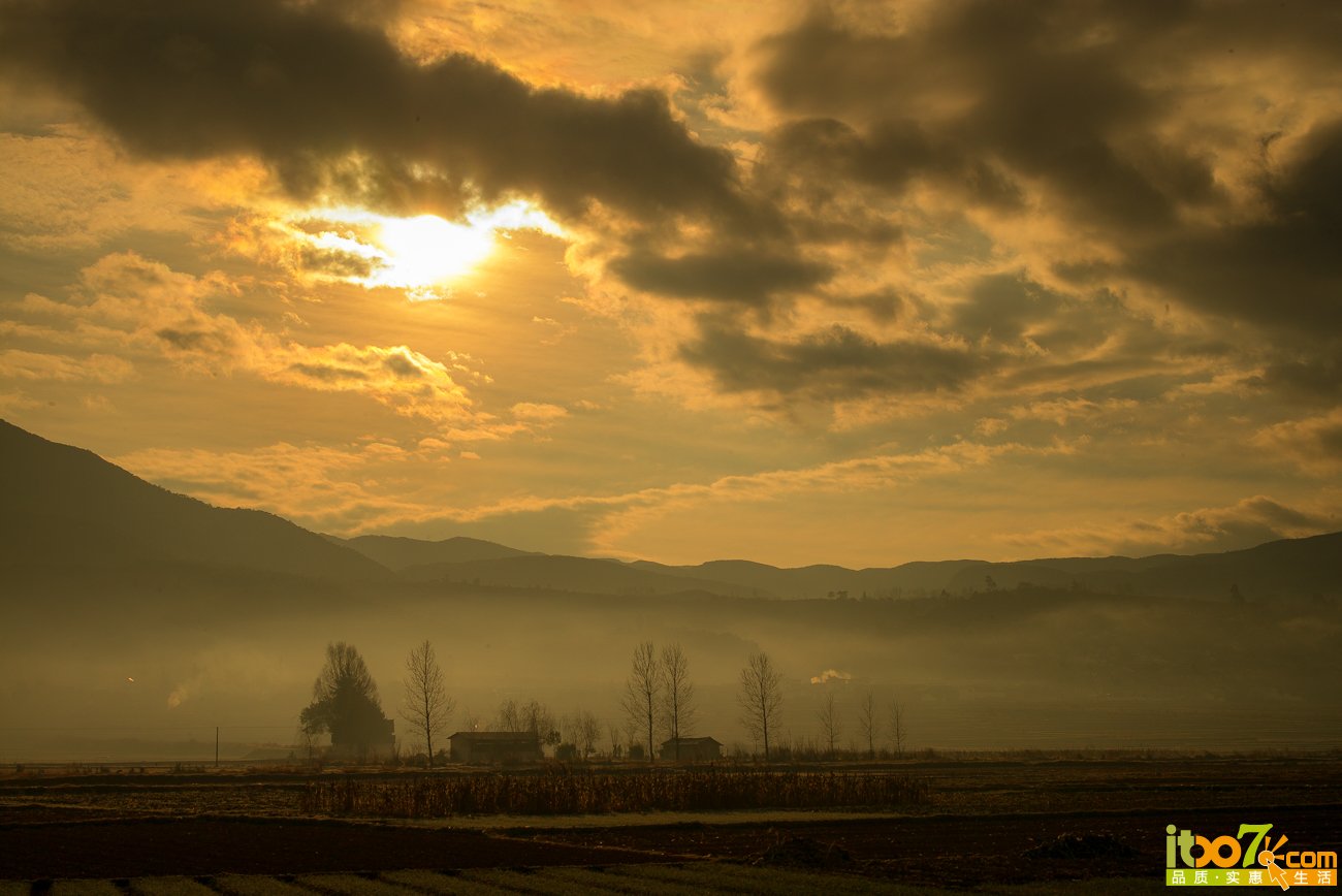 L1004098.jpg