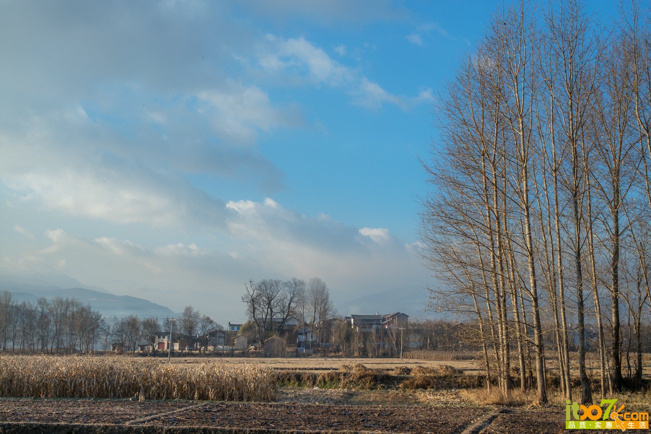 L1004207.jpg