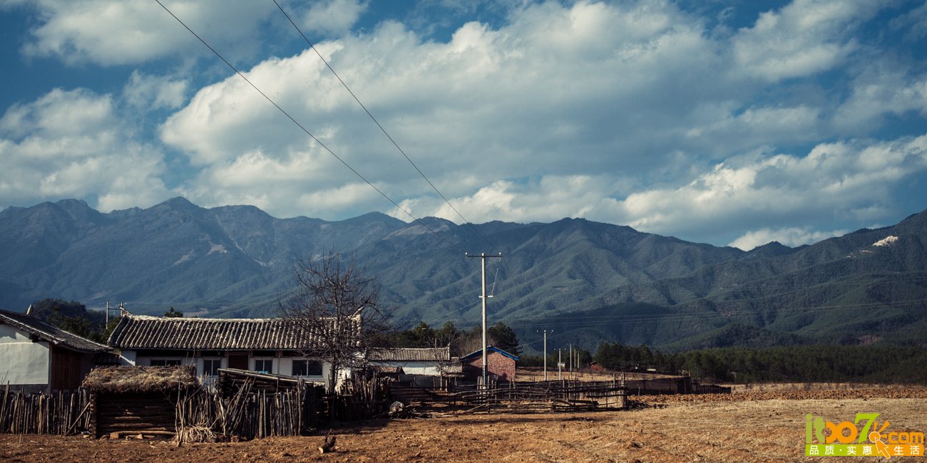L1006984.jpg