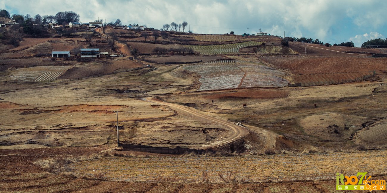 L1007227.jpg