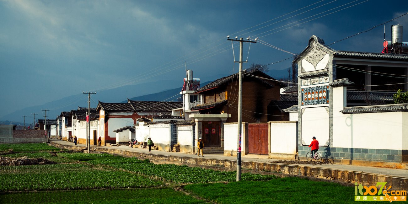 L1008007.jpg