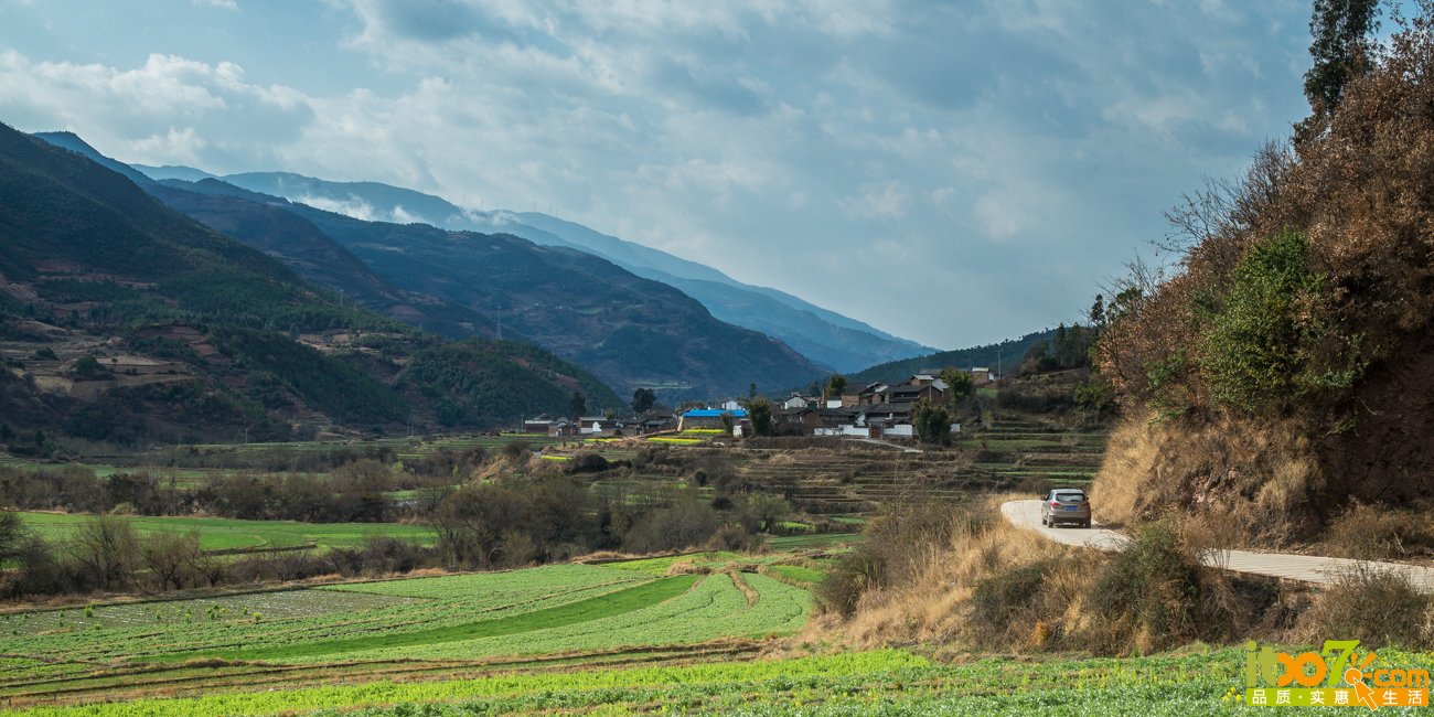 L1008040.jpg