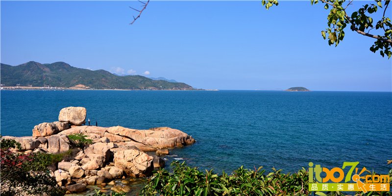 DSC_8480.jpg