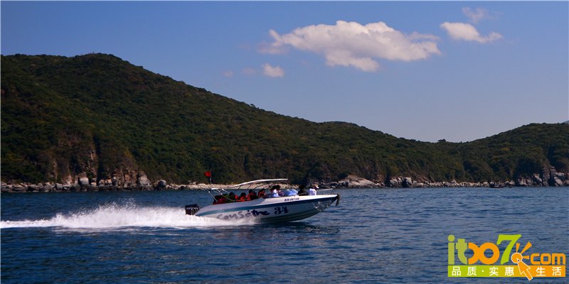 DSC_8554.jpg