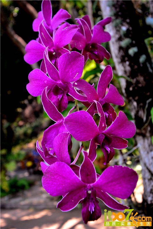 DSC_8729.jpg
