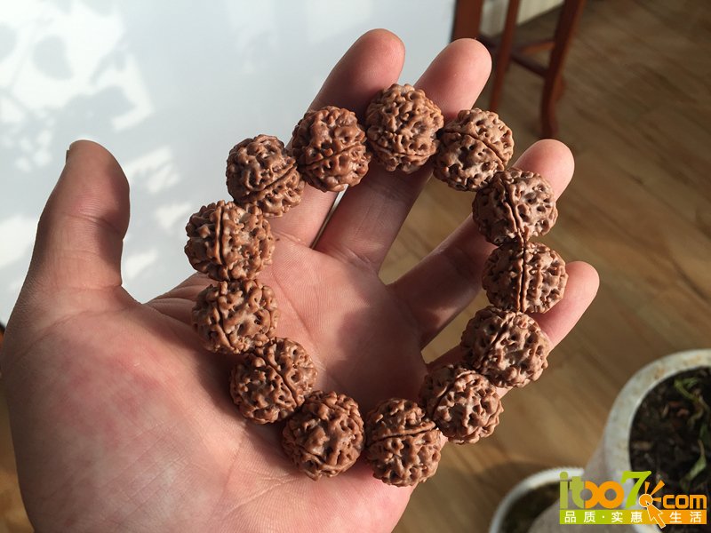 5瓣矮桩连肉纹金刚菩提13颗手串 100元起拍 (5).JPG