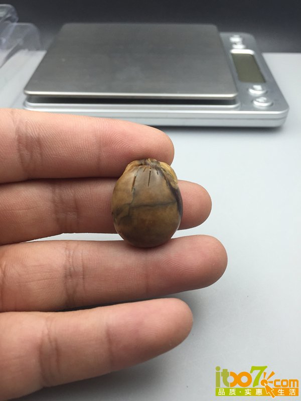 原矿缅甸琥珀根吊坠 52元 (7).JPG