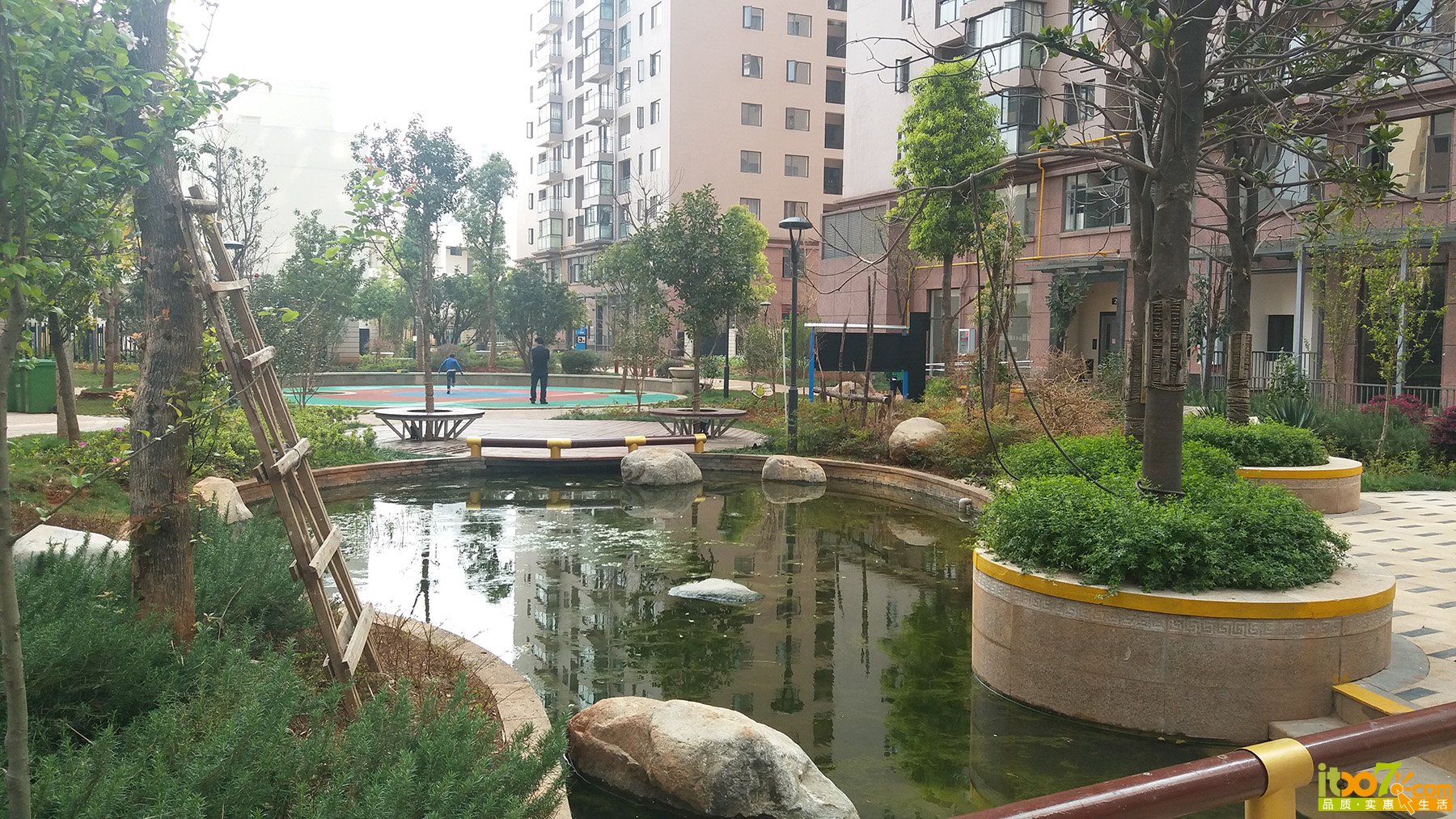 20160326_162051.jpg