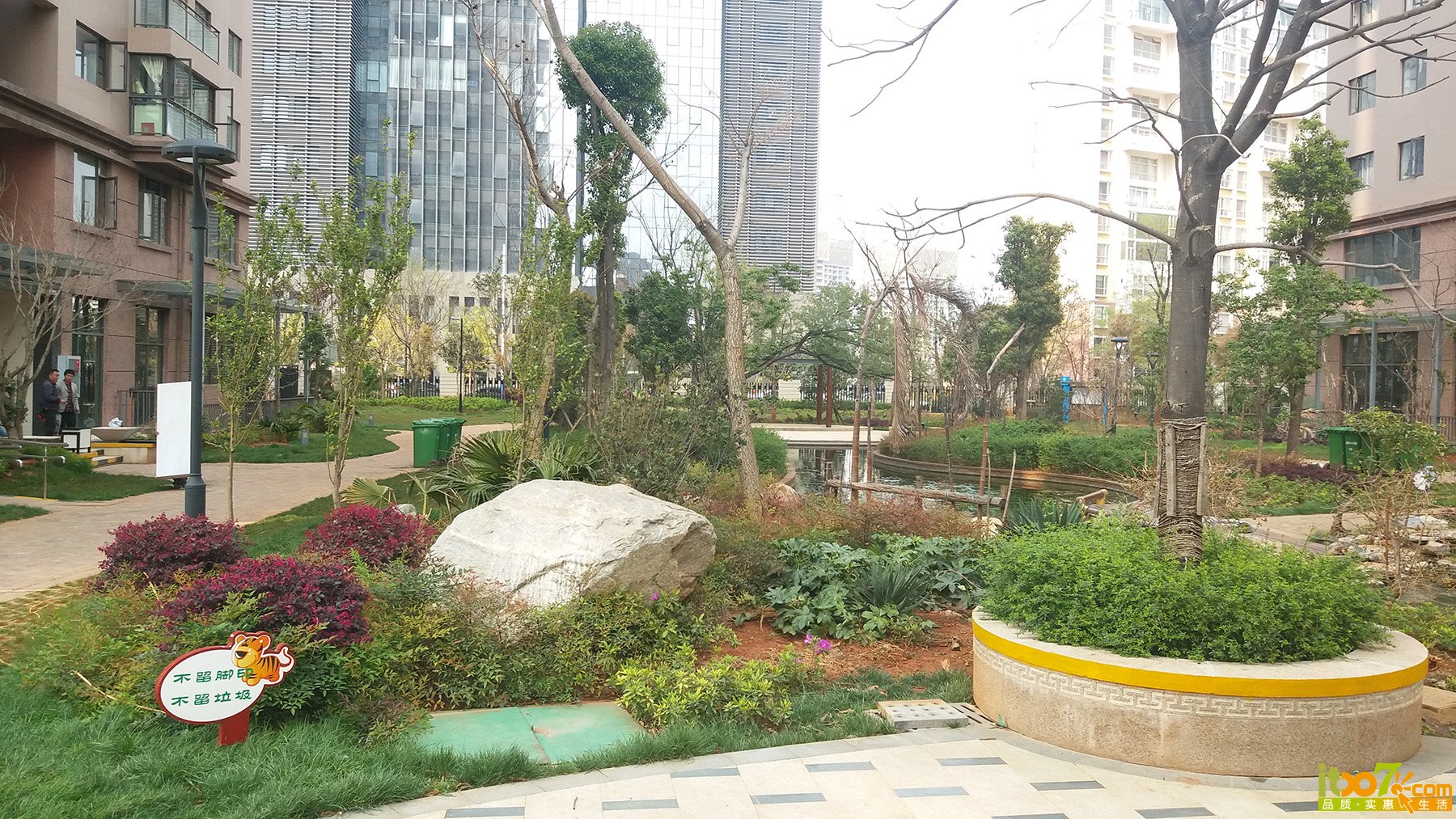 20160326_162118.jpg
