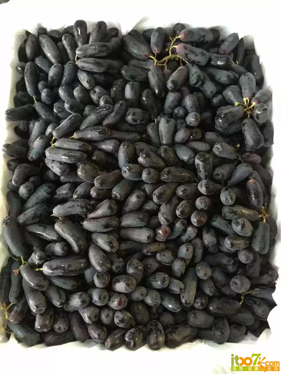 美人指美人指澳洲葡萄美人指