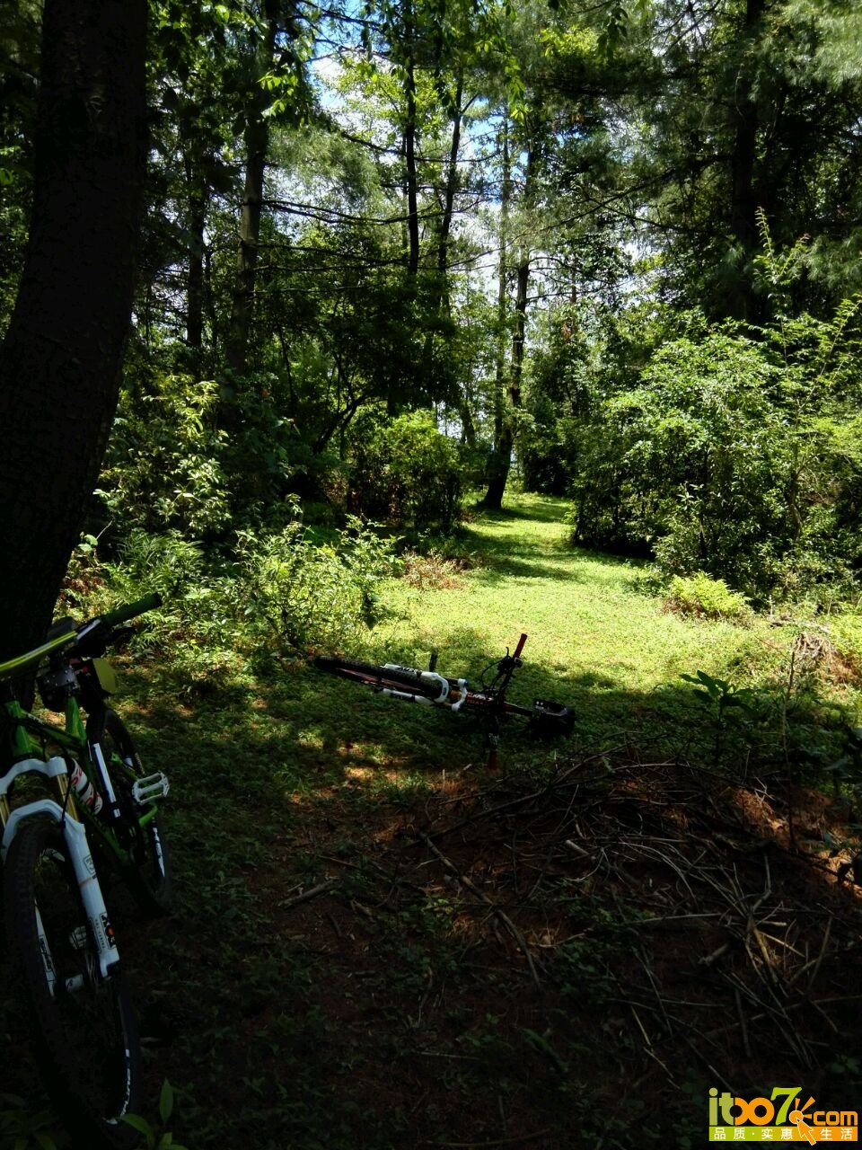 20160604210133_5752d12df10ee.jpg