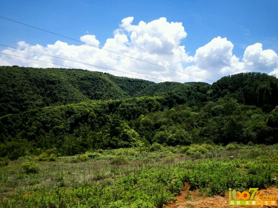 20160604210150_5752d13ee1bae.jpg