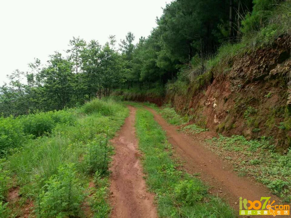 20160626212140_576fd6e4b975a.jpg