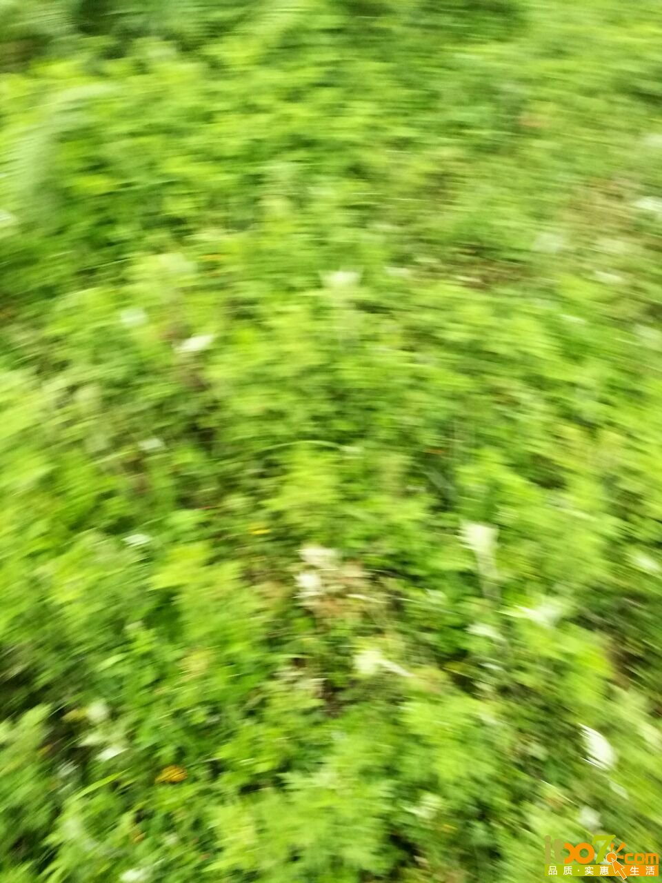 20160703000433_5777e6113e281.jpg