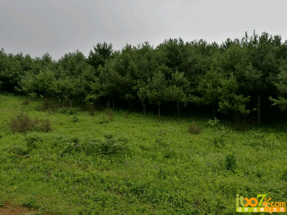 20160703000456_5777e628e6569.jpg