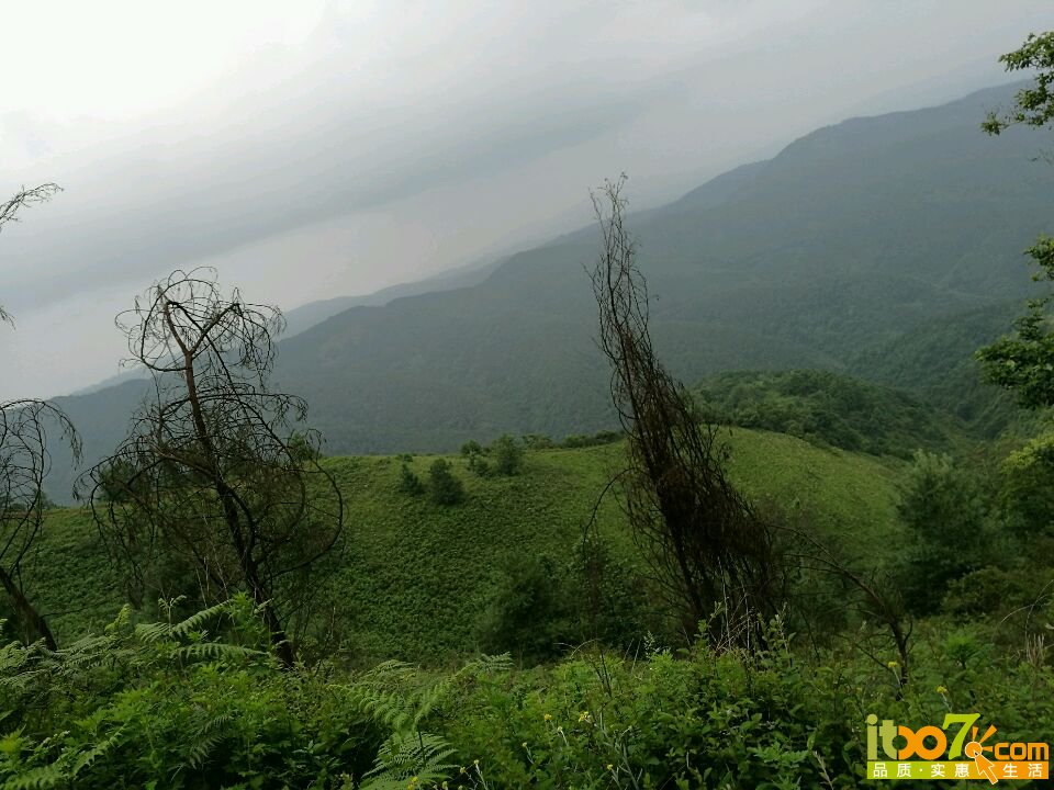 20160703000933_5777e73dd9817.jpg
