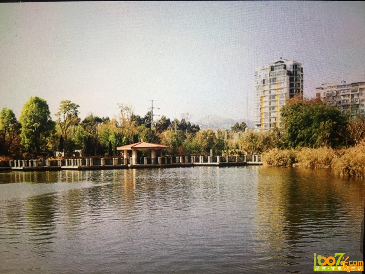 小区的湖