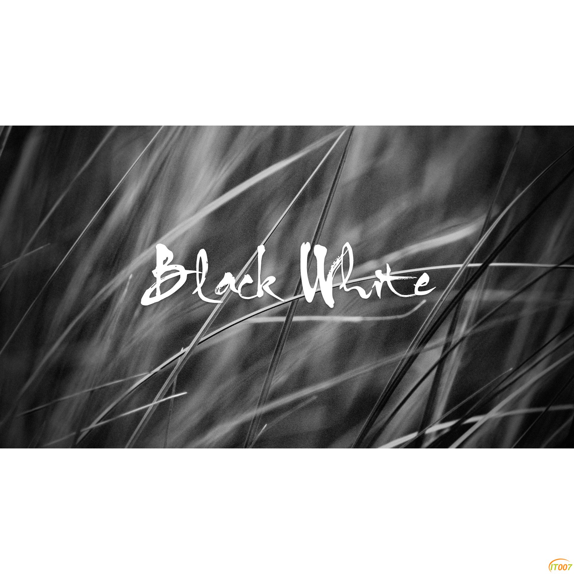 Black&White-1.jpg