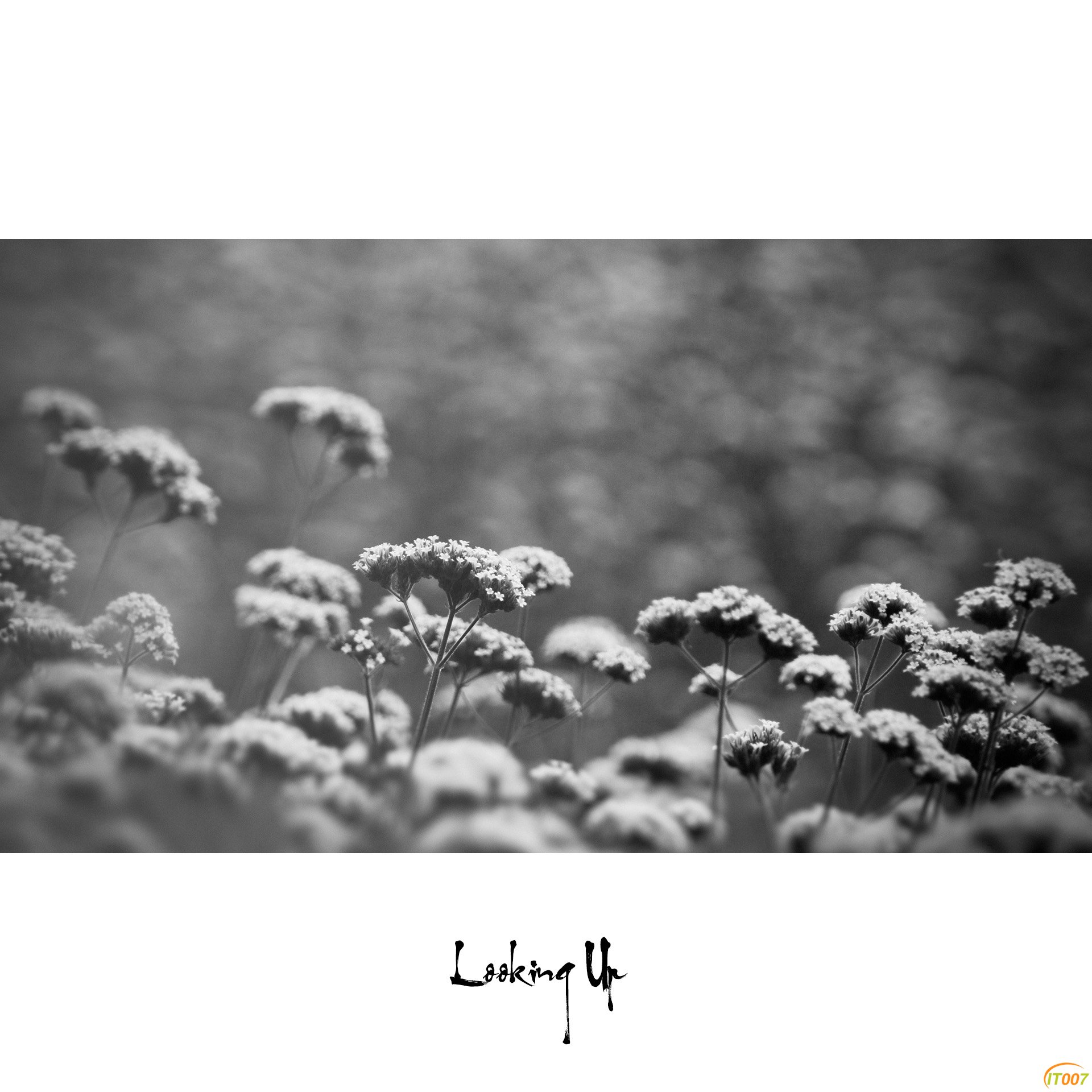 Black&White-3.jpg