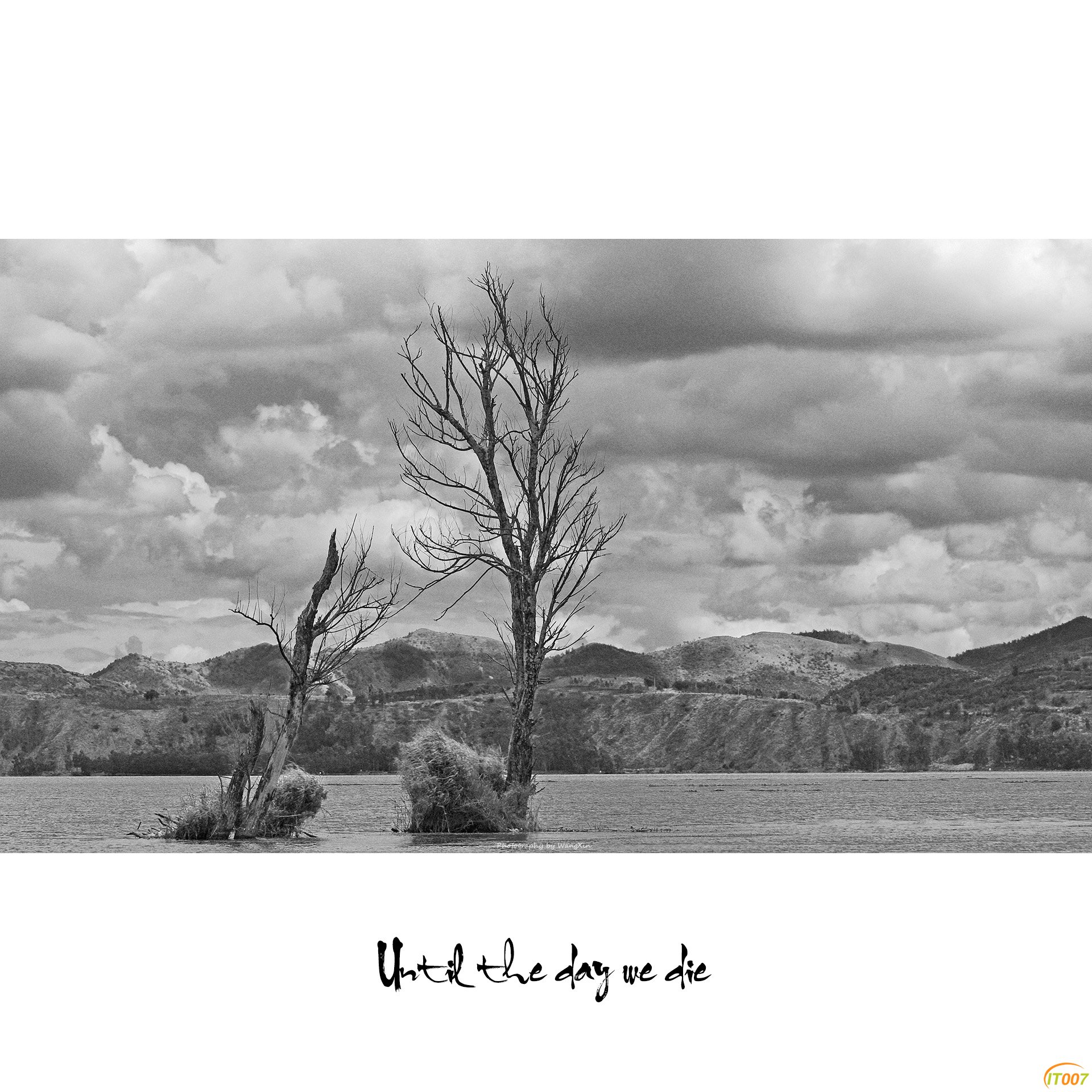 Black&White-4.jpg