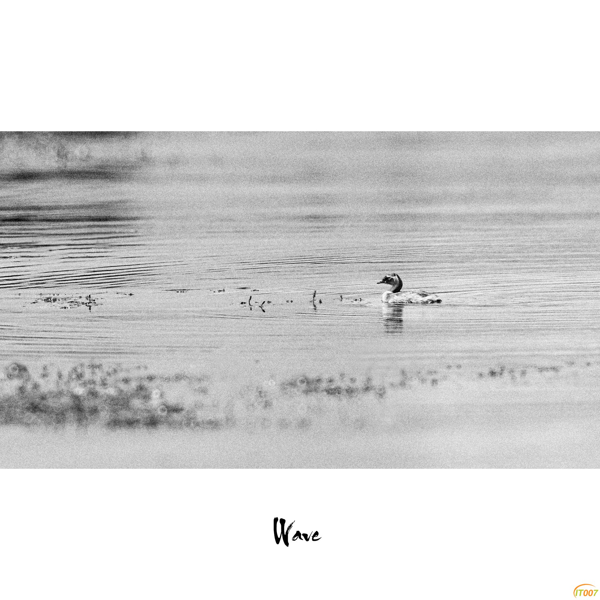 Black&White-5.jpg