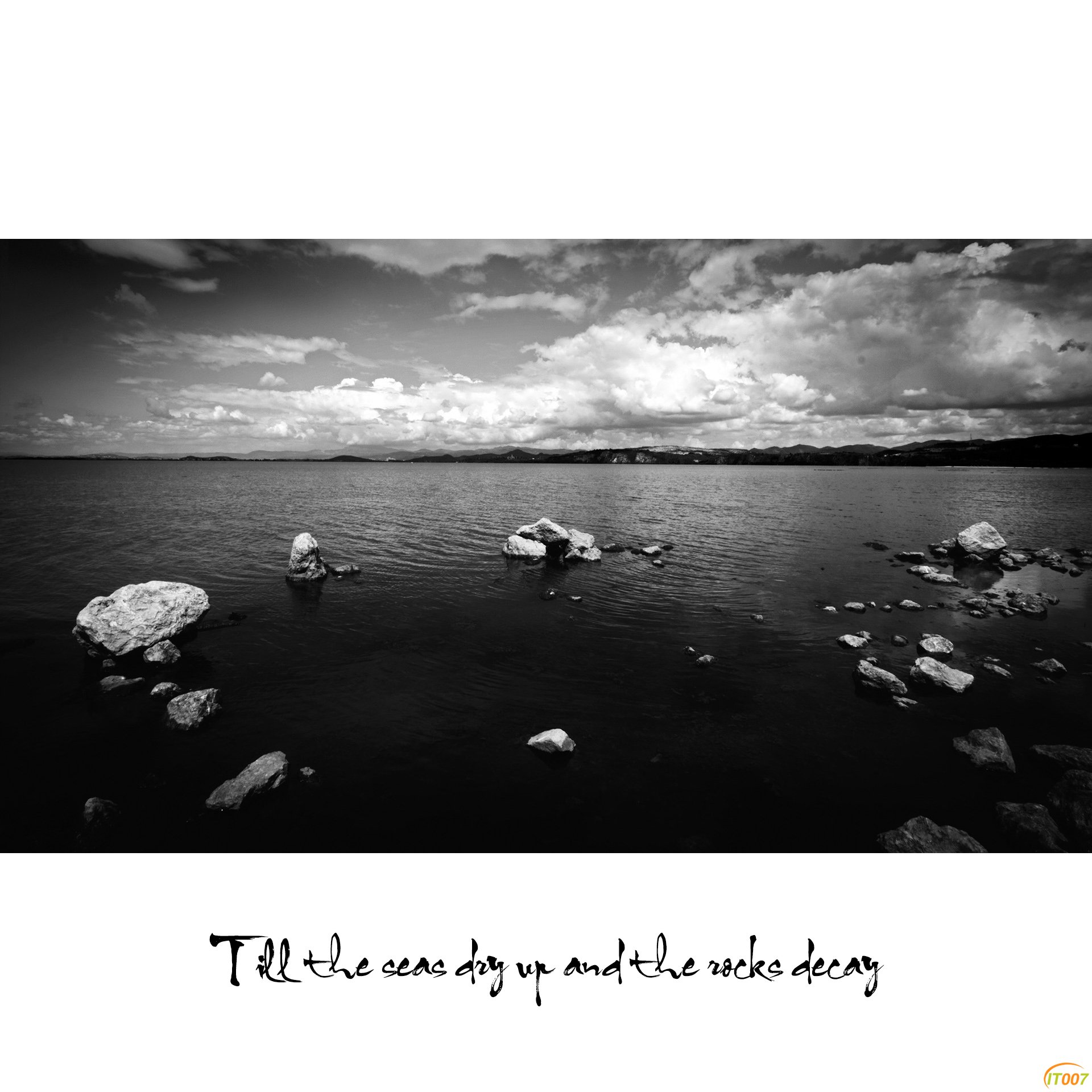 Black&White-7.jpg