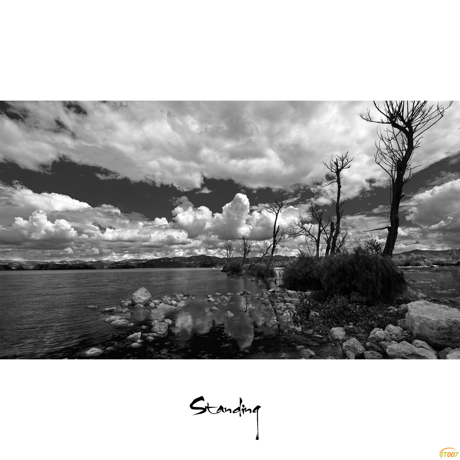 Black&White-8.jpg