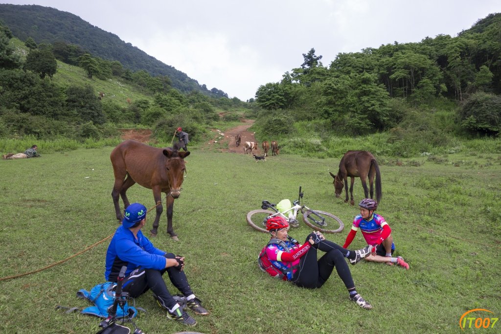 DSC08901_副本.jpg