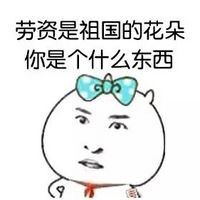 173821ckzr6pvi66a49mkl.jpg