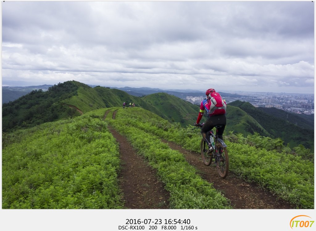 DSC08745_副本.jpg