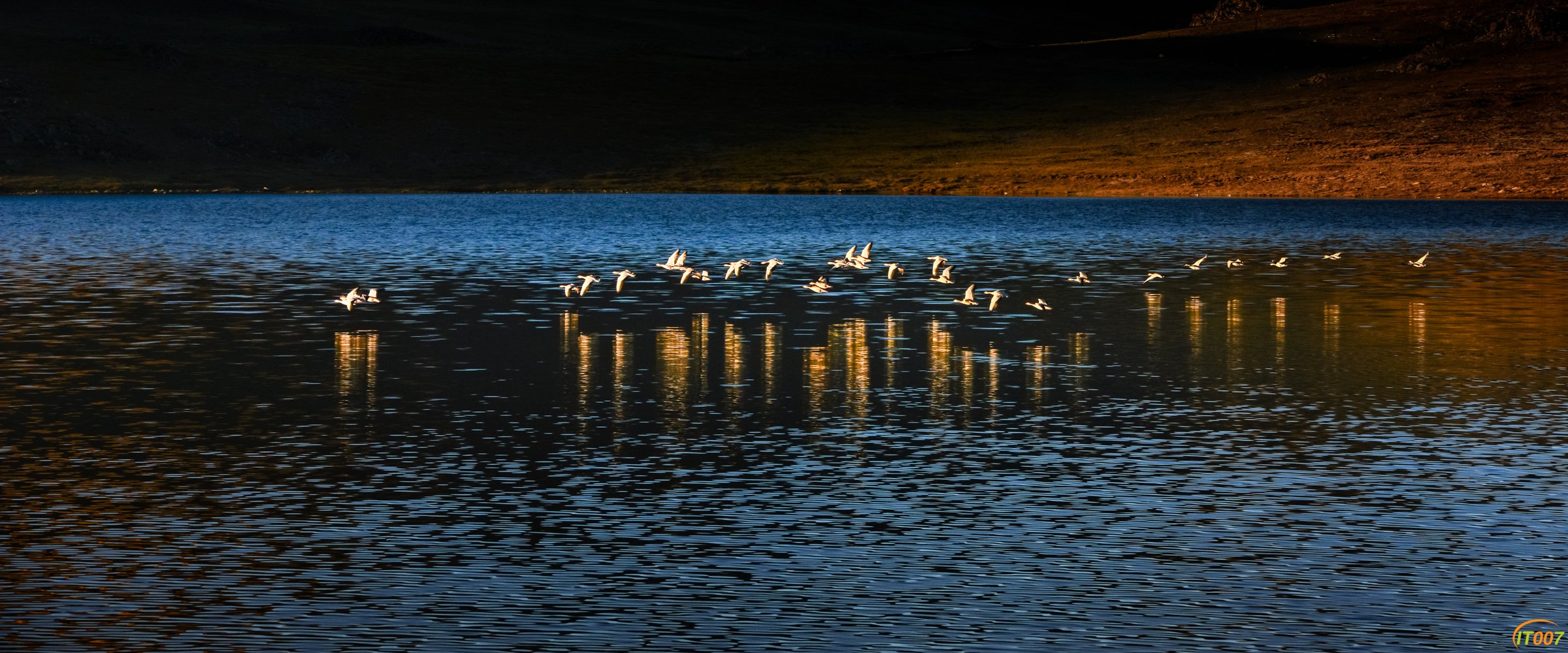 DSC_3466.jpg