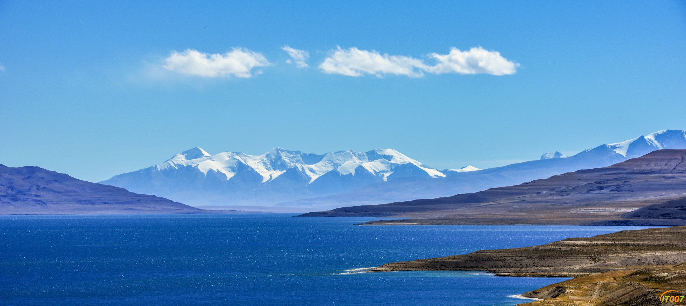 DSC_4795.jpg