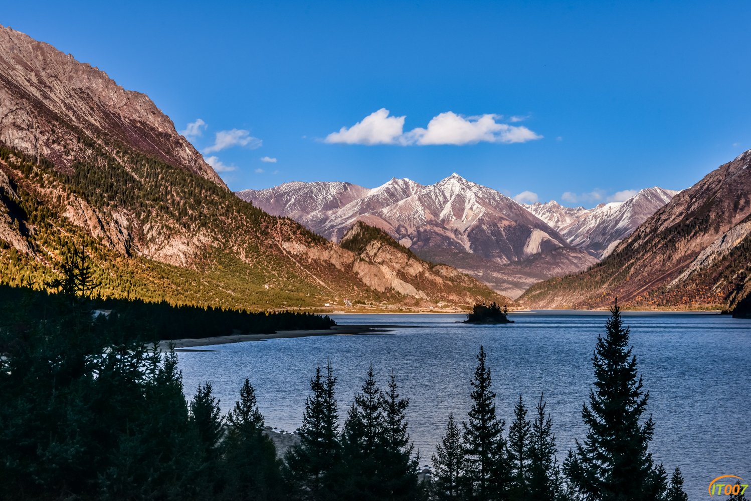 DSC_0110-编辑.jpg