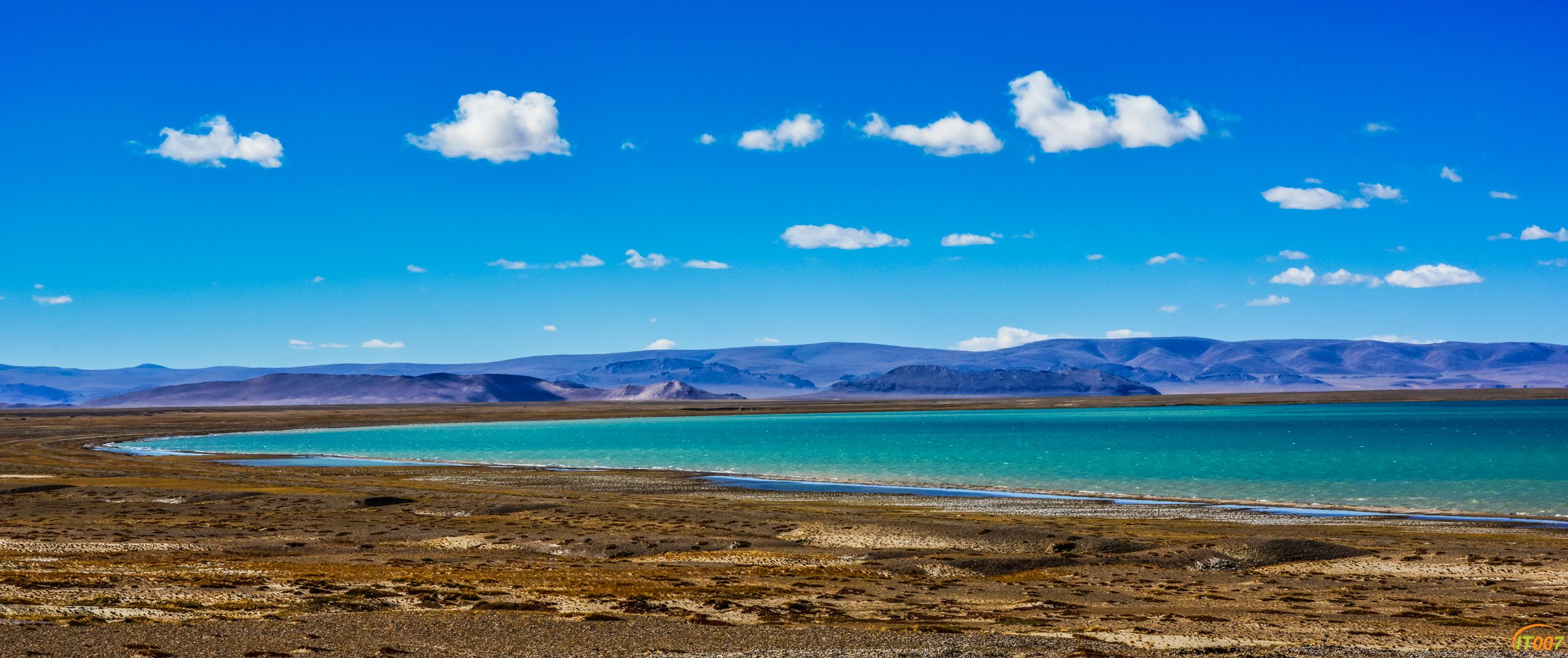 DSC_3664.jpg