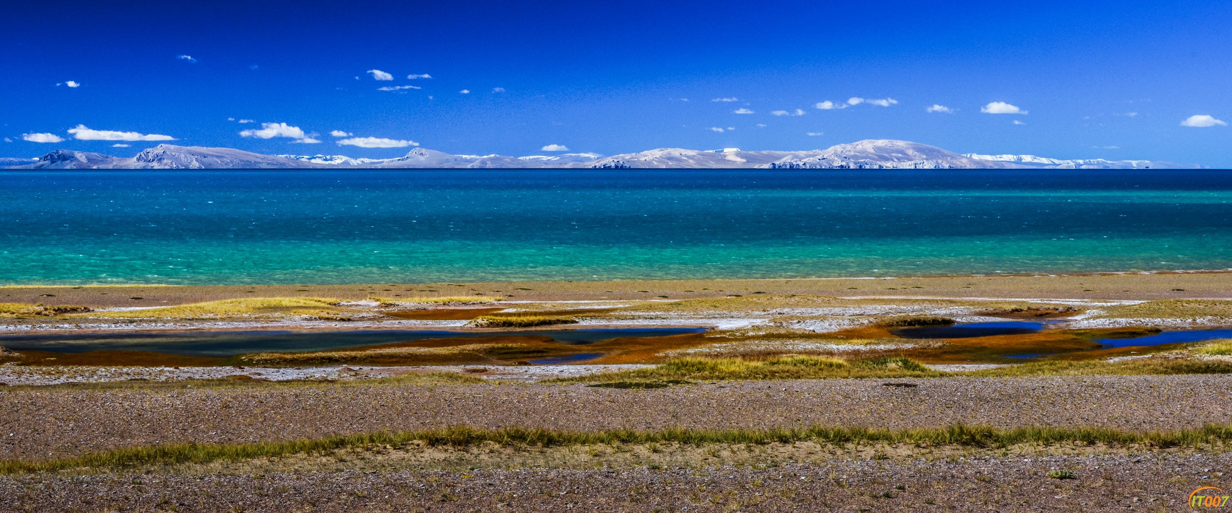 DSC_3680.jpg
