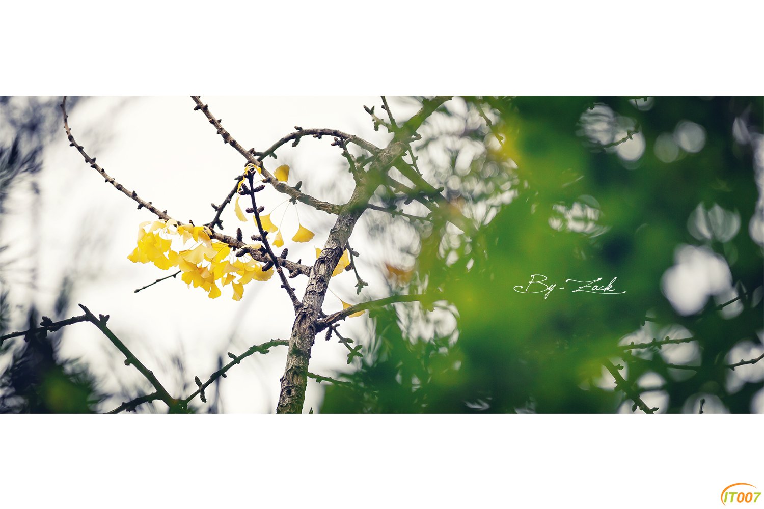 IMG_1459_副本x.jpg