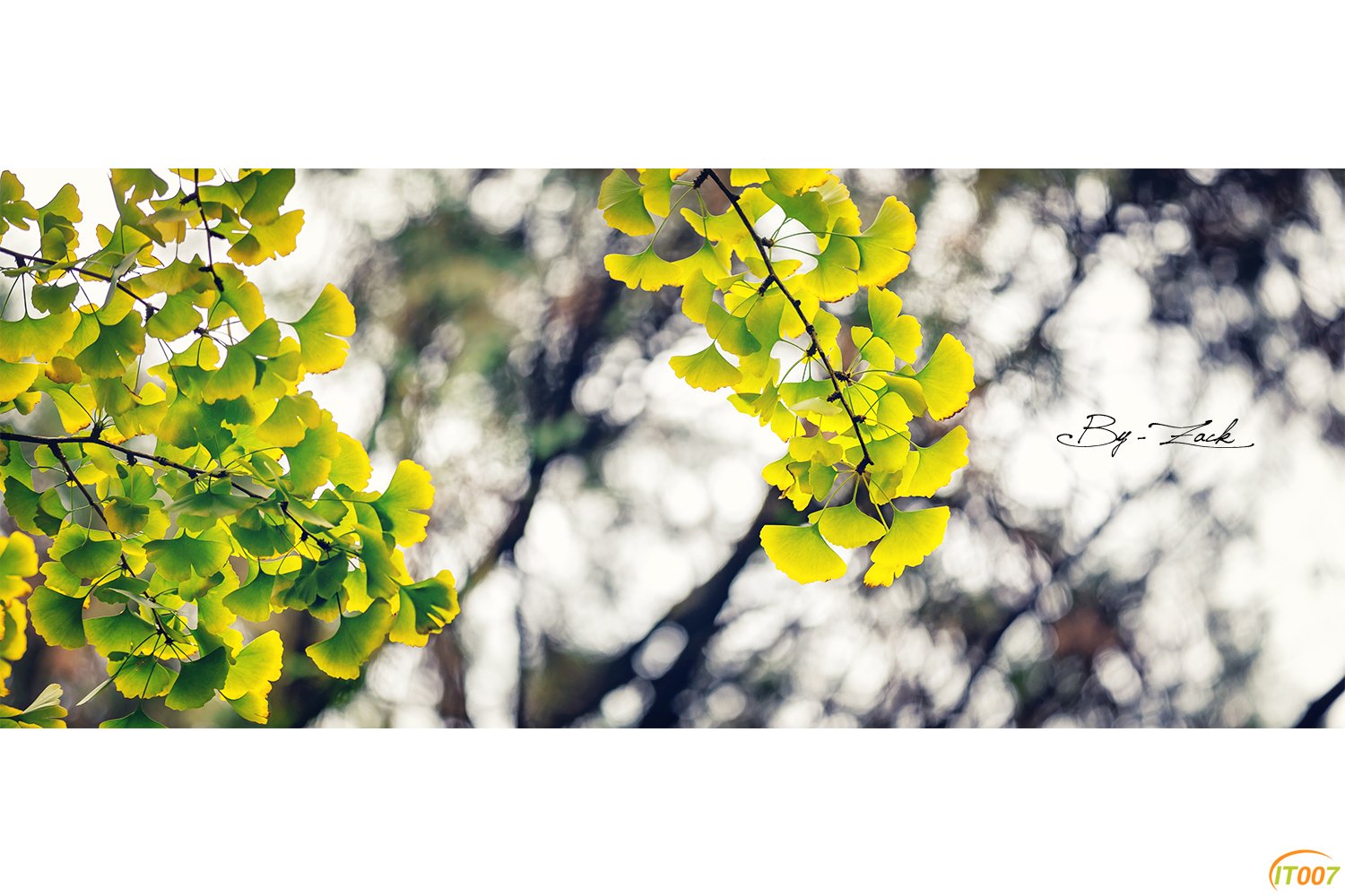 IMG_1484_副本x.jpg