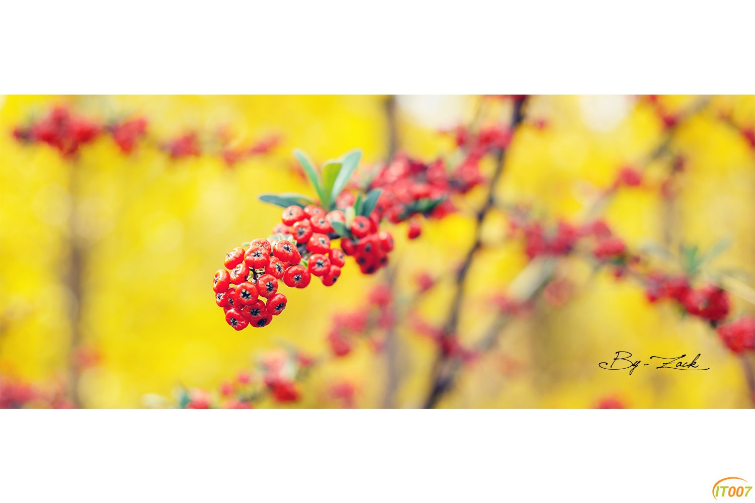 IMG_1826_副本x.jpg