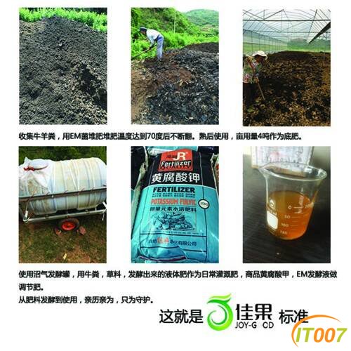 184930wobxc8io3u8xjoo5.jpg