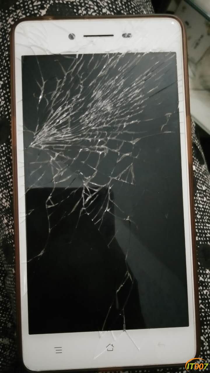 621183246320145695.jpg