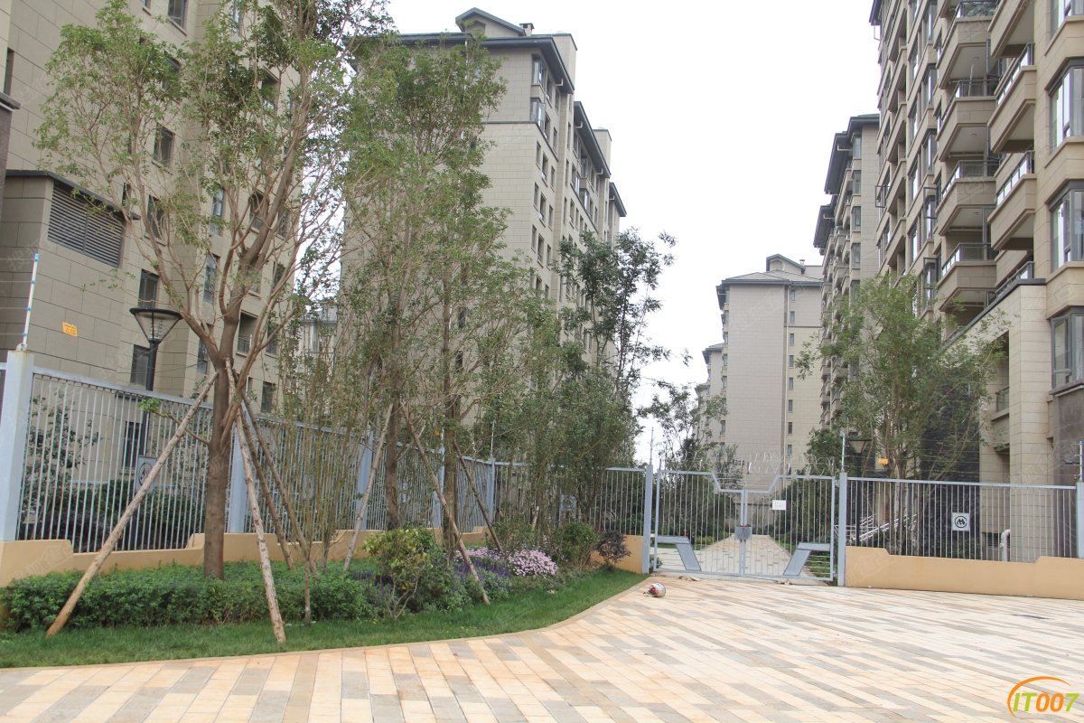 b_386084734.jpg