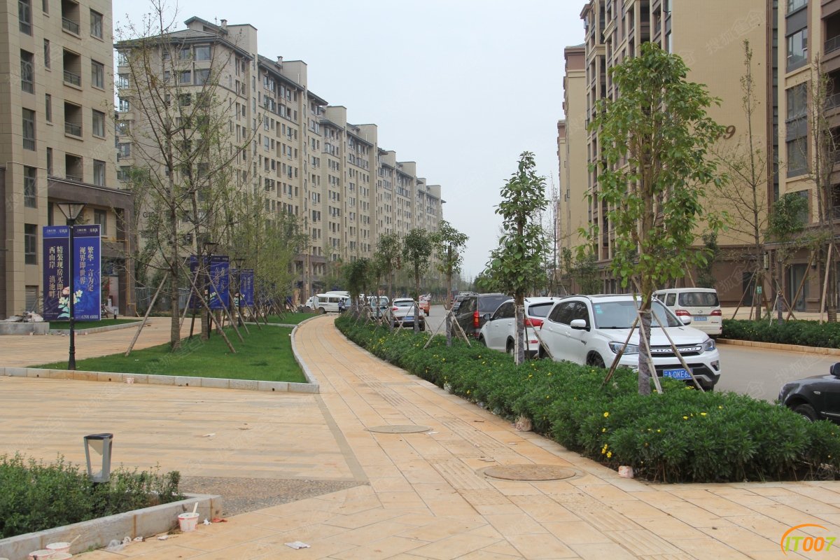 b_386084764.jpg