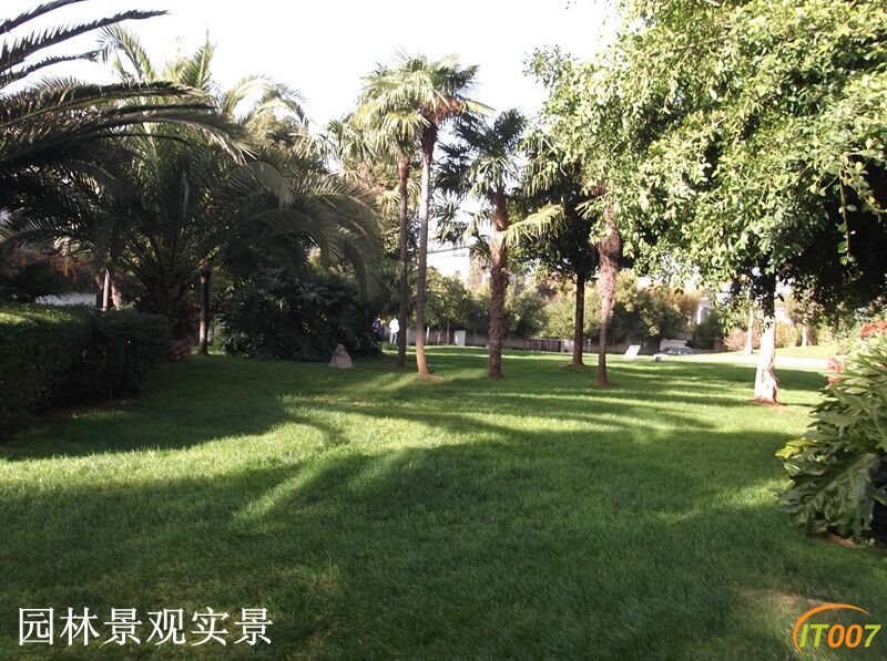 QQ图片20161211135651.jpg