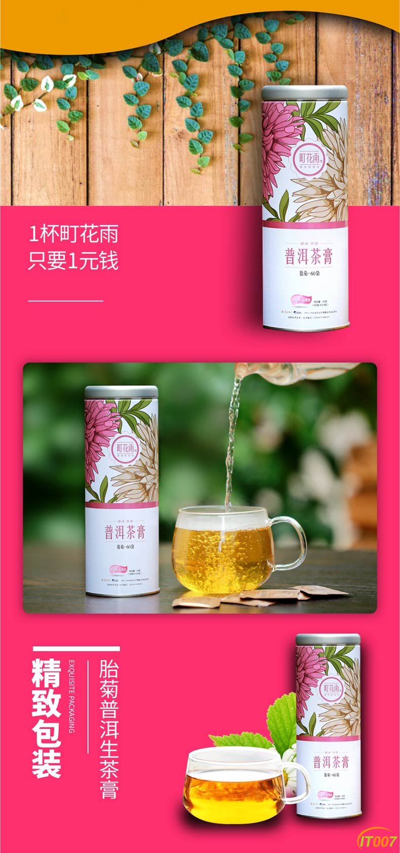 胎菊3.jpg