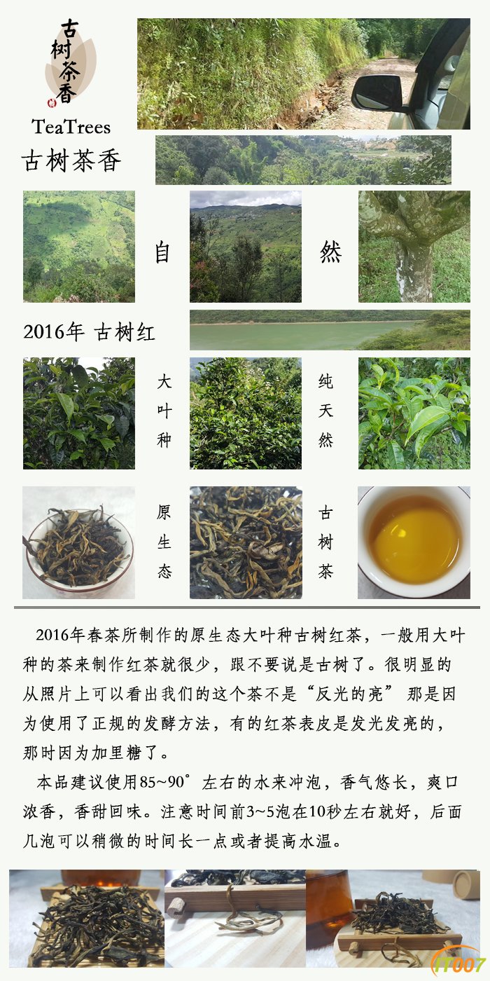 红茶.jpg