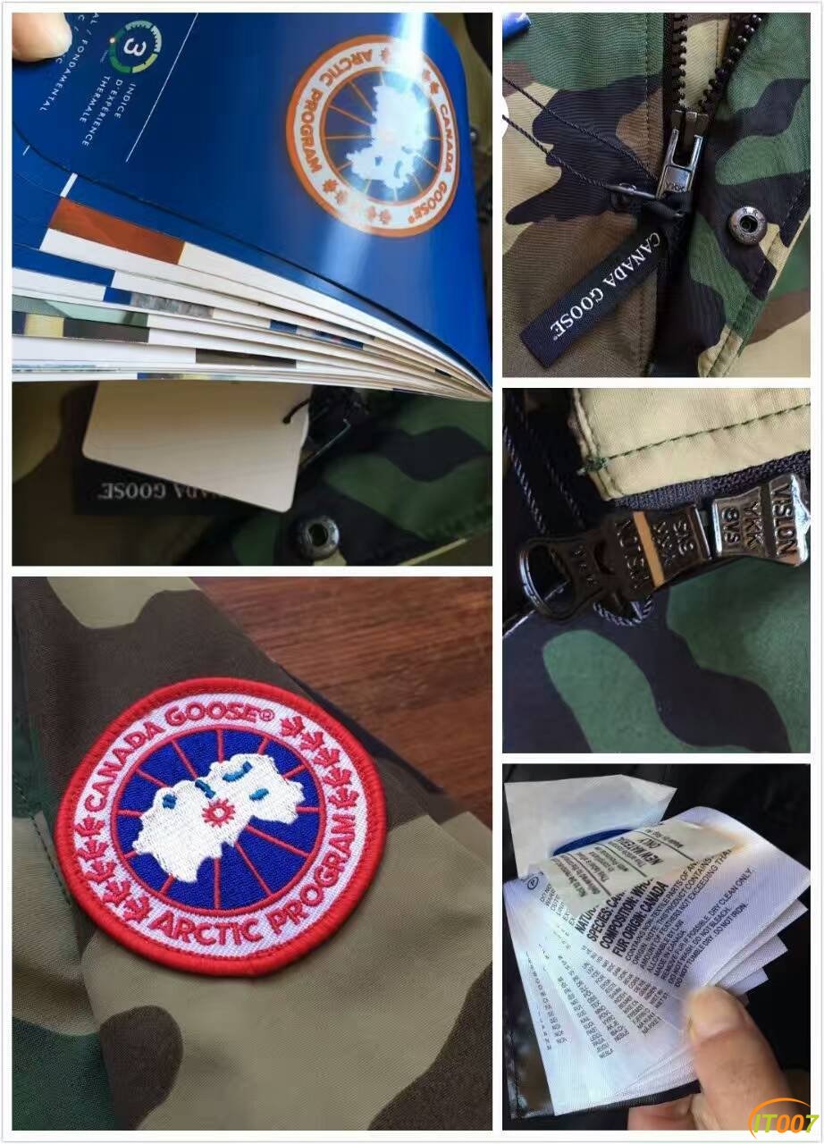 C5.jpg